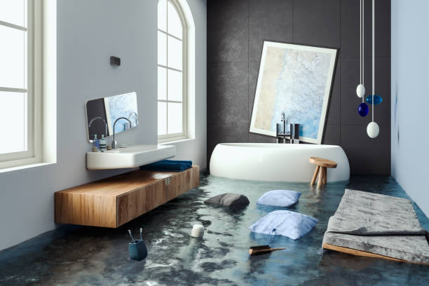 Best Residential water damage restoration  in Rogers, MN