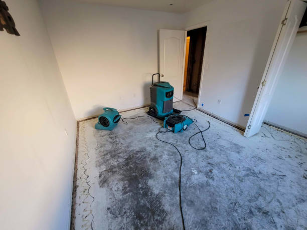  Rogers, MN Water damage restoration Pros