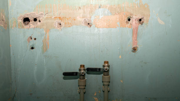 Best Flooded house restoration  in Rogers, MN