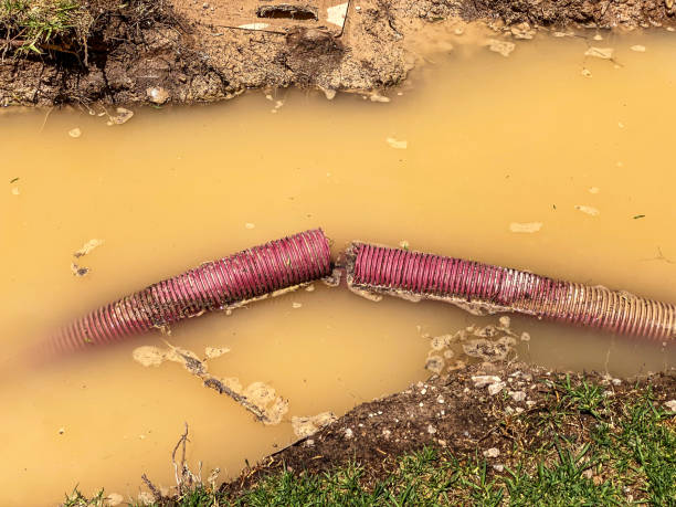 Best Commercial water damage restoration  in Rogers, MN