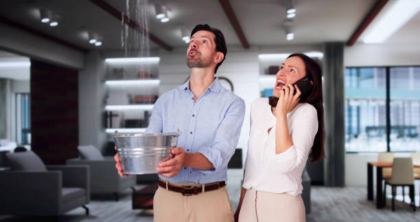 Best 24-hour water damage restoration  in Rogers, MN