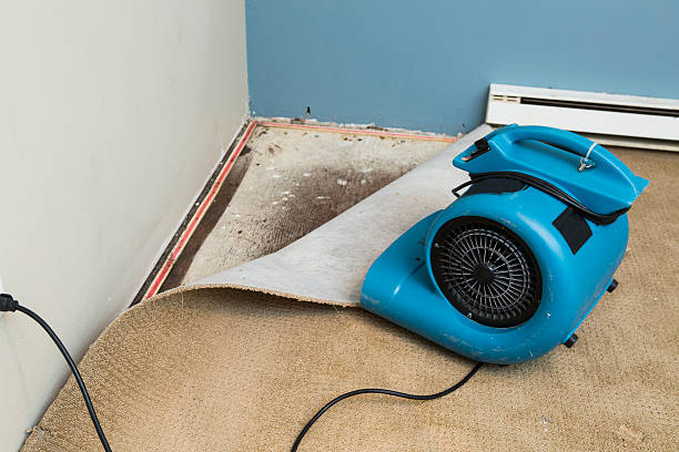Water damage restoration mold remediation in MN