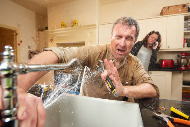 Best Water damage restoration mold remediation  in Rogers, MN